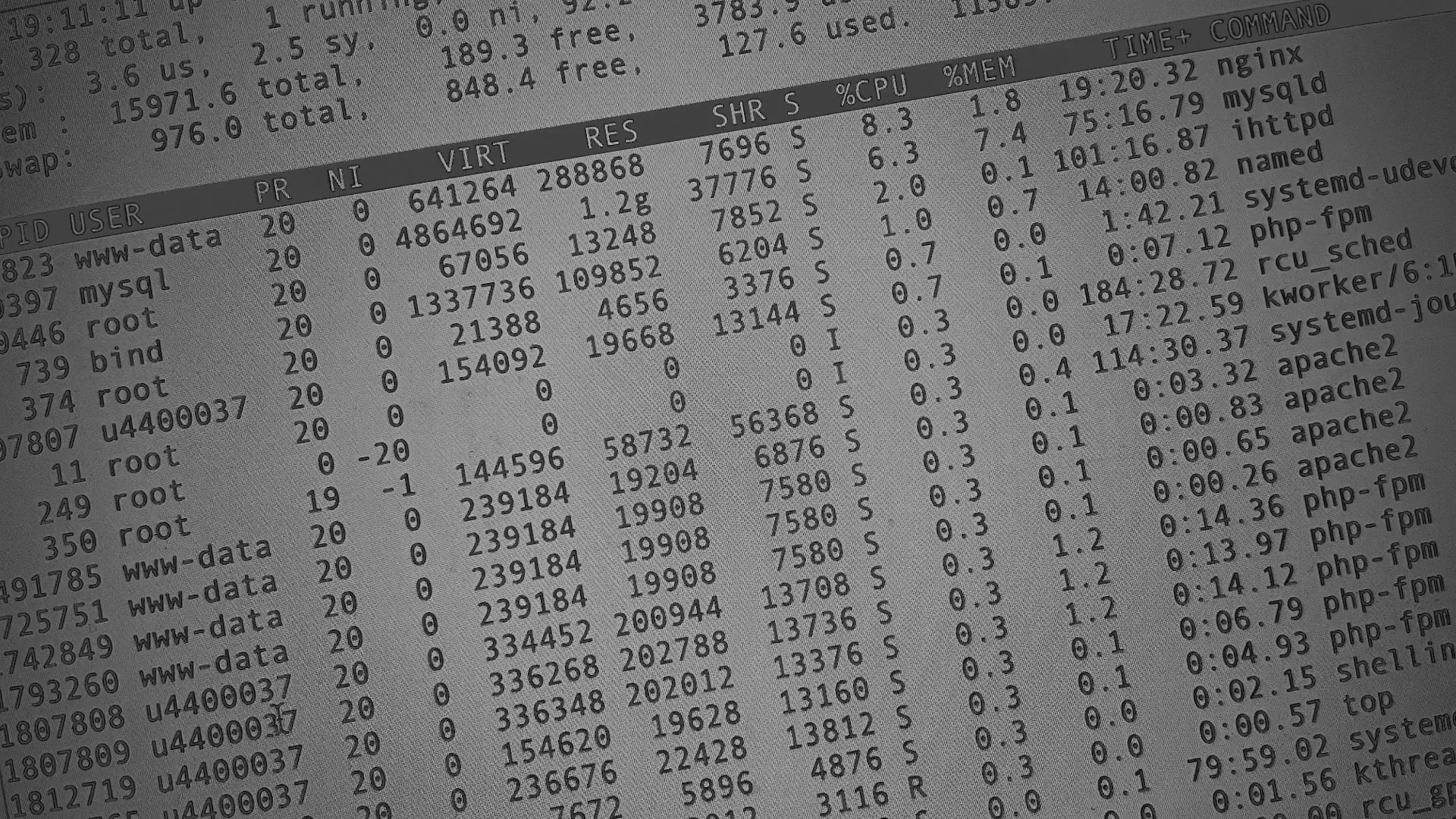 Настройка сервера в Советском