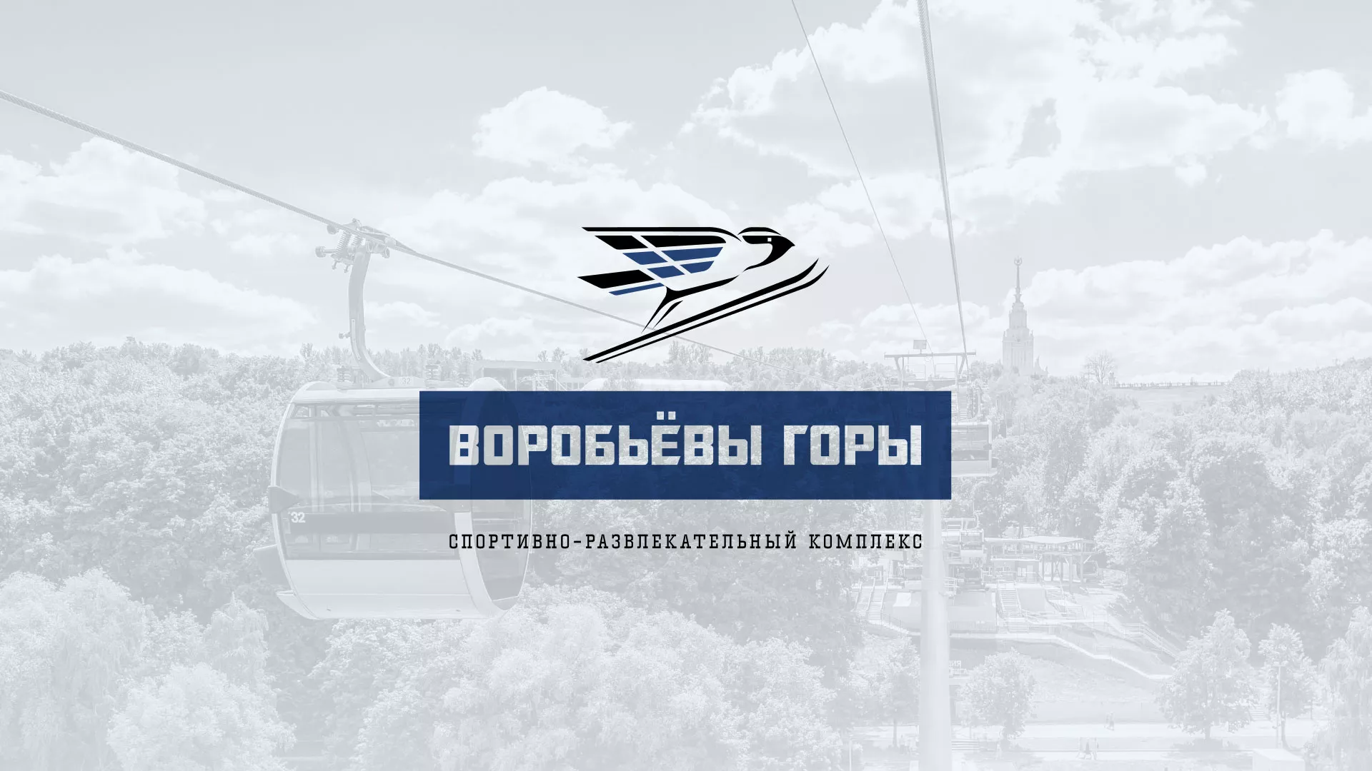 Разработка сайта в Советском для спортивно-развлекательного комплекса «Воробьёвы горы»